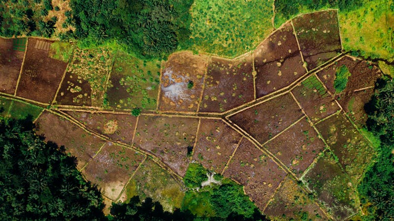 Aerial view of farmland plots — earth observation remote sensing